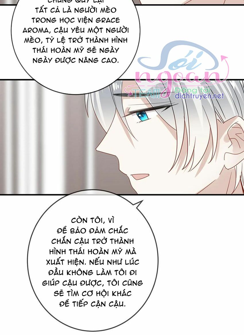 Em là bạc hà mèo của tôi: Chapter 49