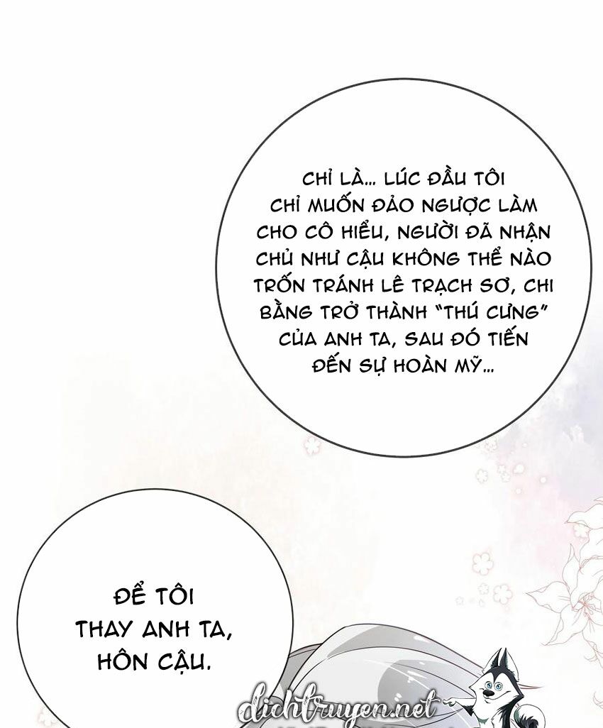 Em là bạc hà mèo của tôi: Chapter 49