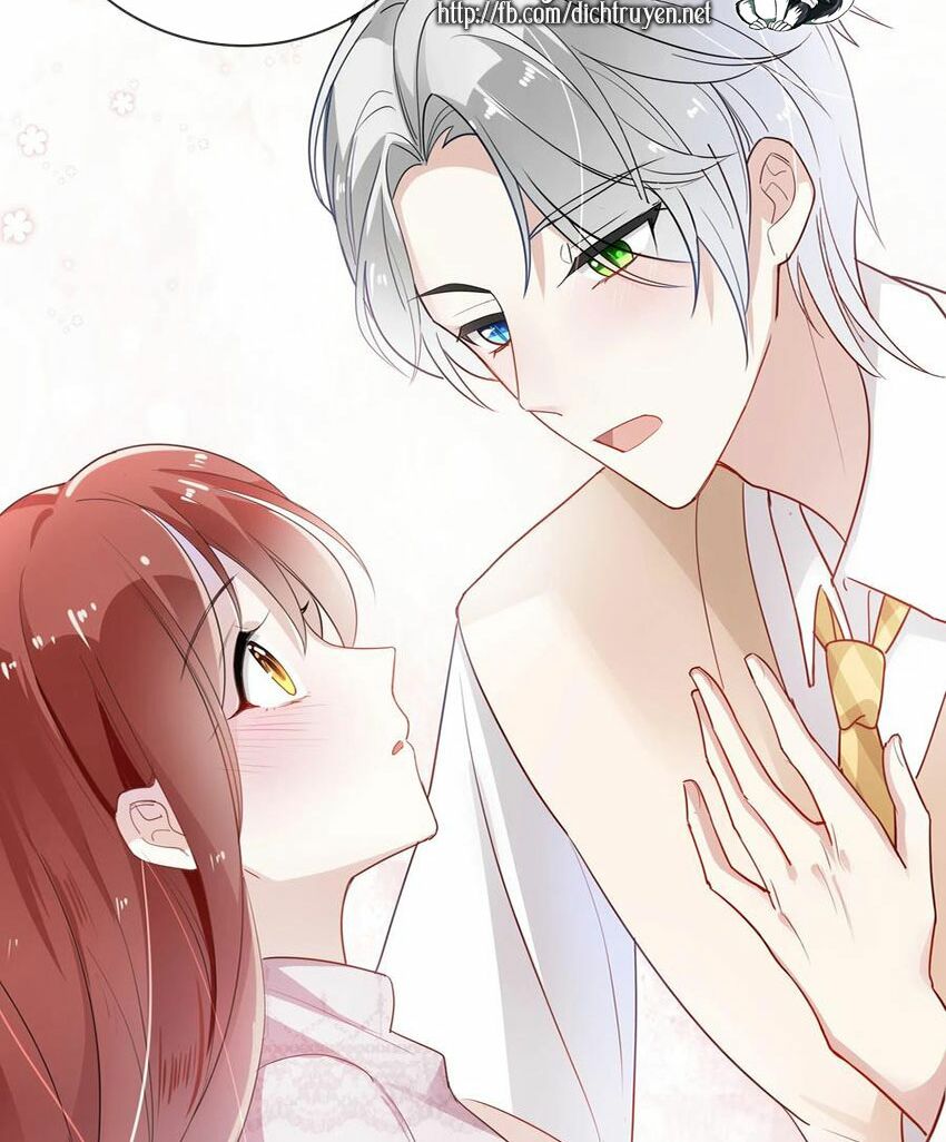 Em là bạc hà mèo của tôi: Chapter 49