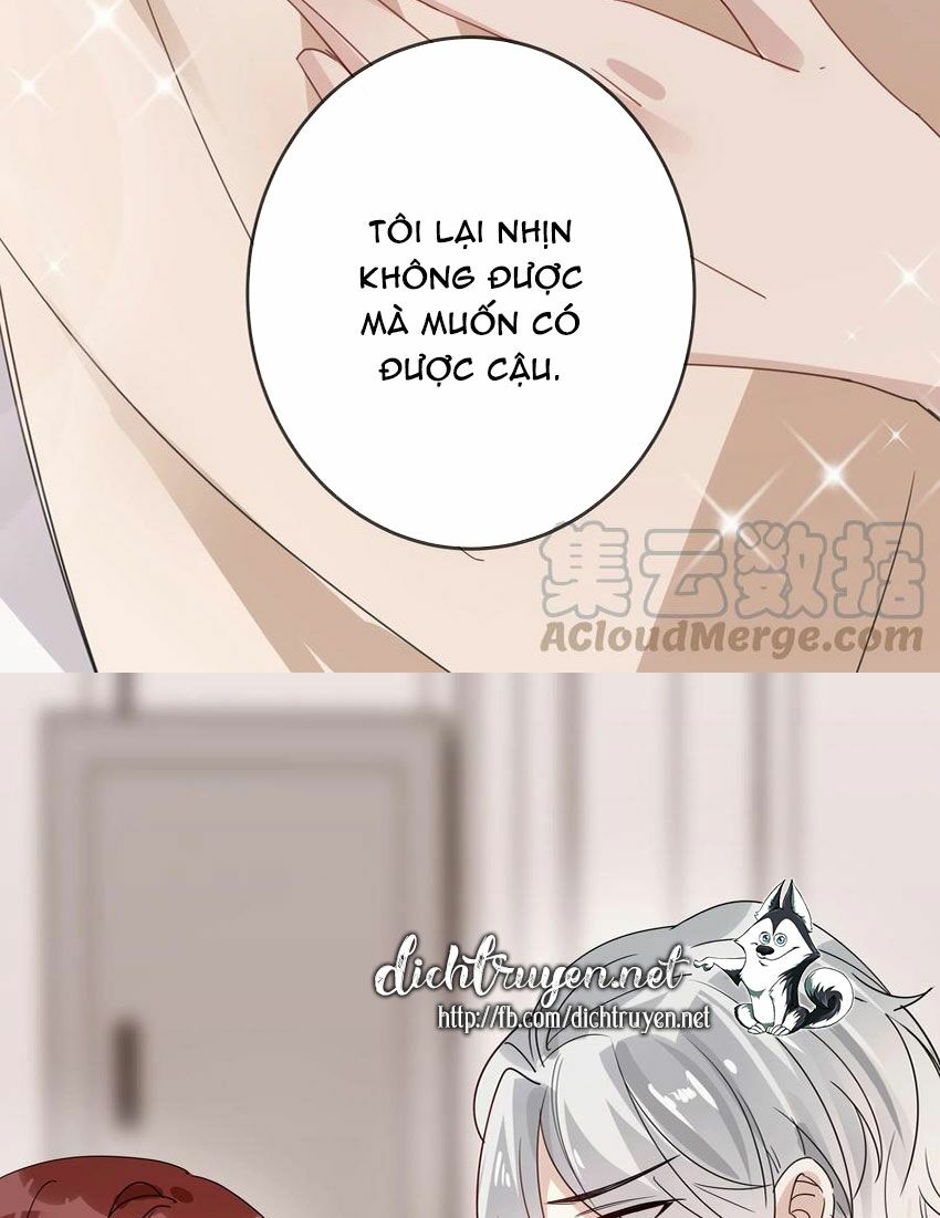 Em là bạc hà mèo của tôi: Chapter 49