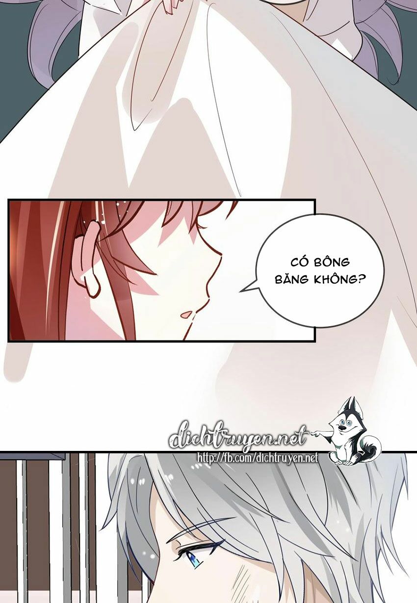Em là bạc hà mèo của tôi: Chapter 49