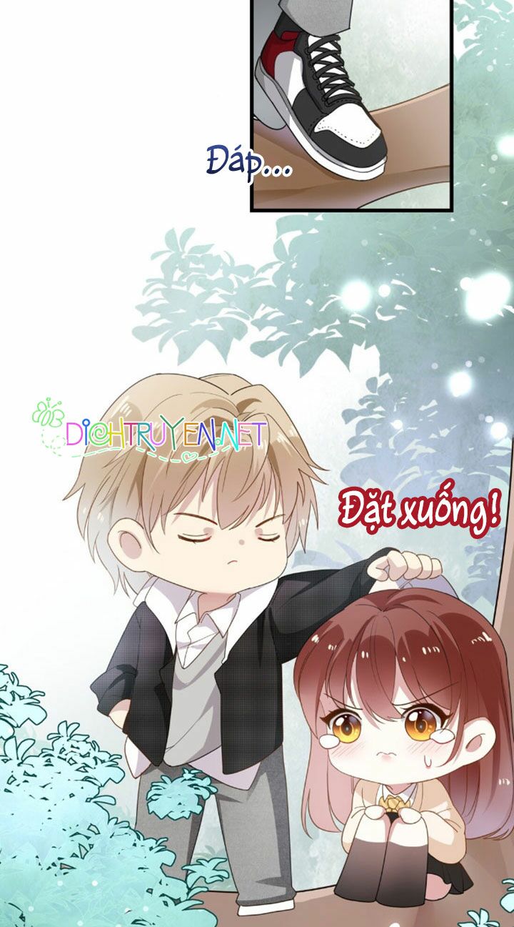 Em là bạc hà mèo của tôi: Chapter 5