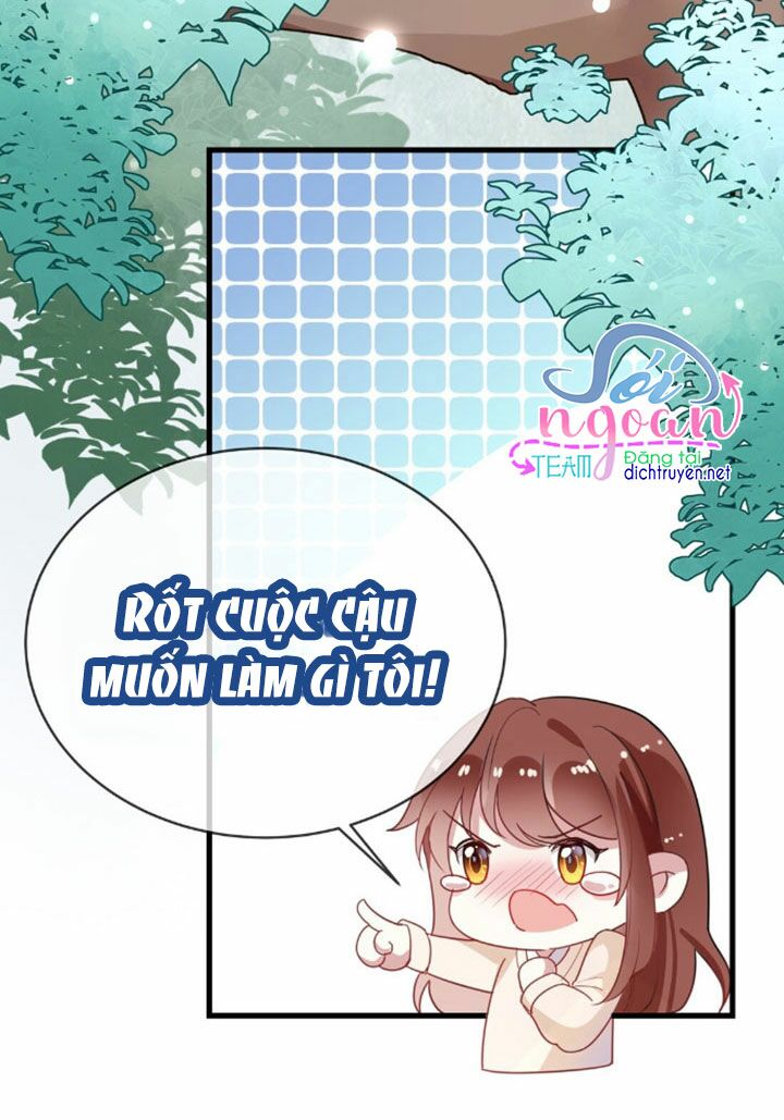 Em là bạc hà mèo của tôi: Chapter 5