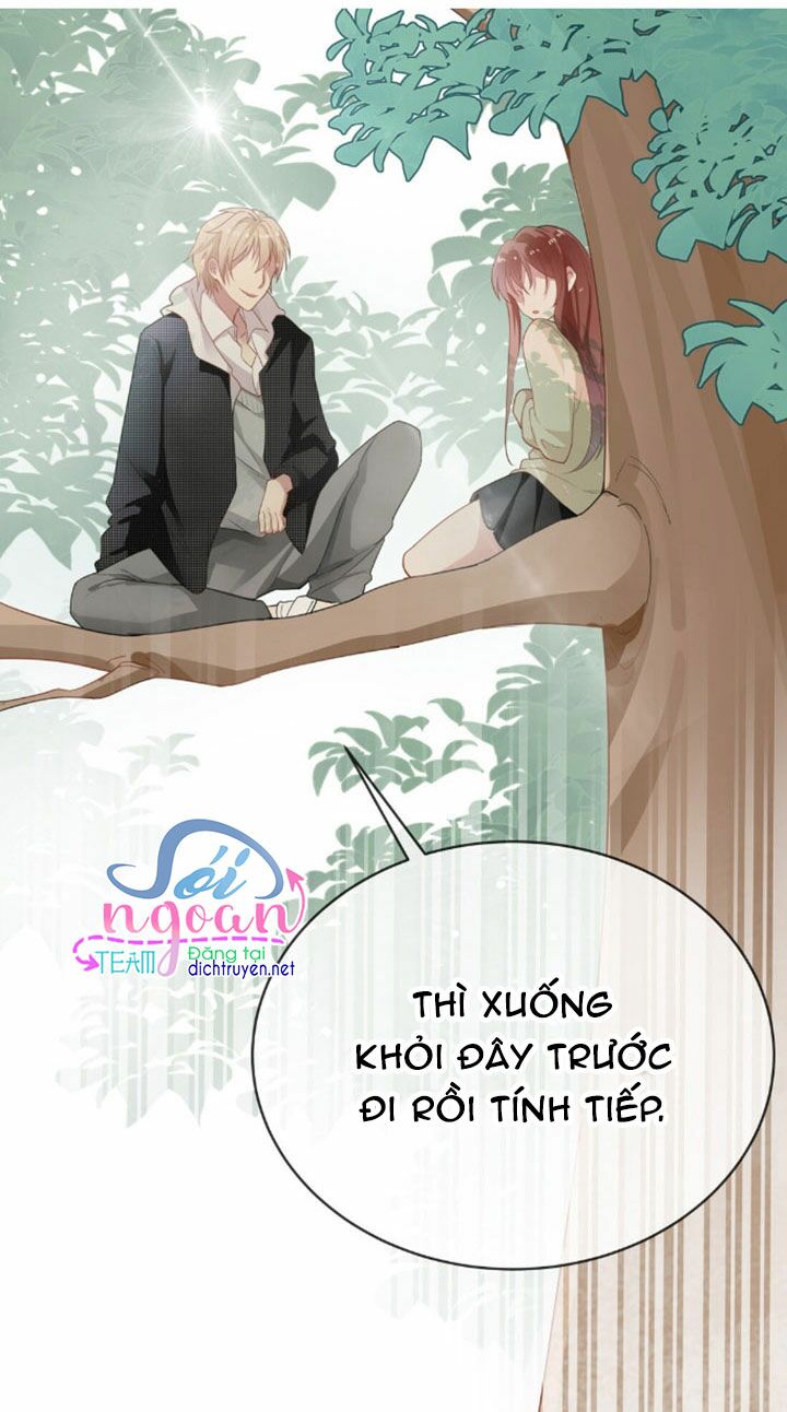 Em là bạc hà mèo của tôi: Chapter 5
