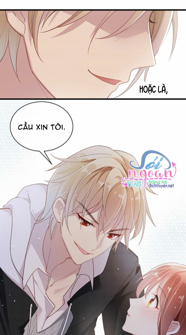 Em là bạc hà mèo của tôi: Chapter 5