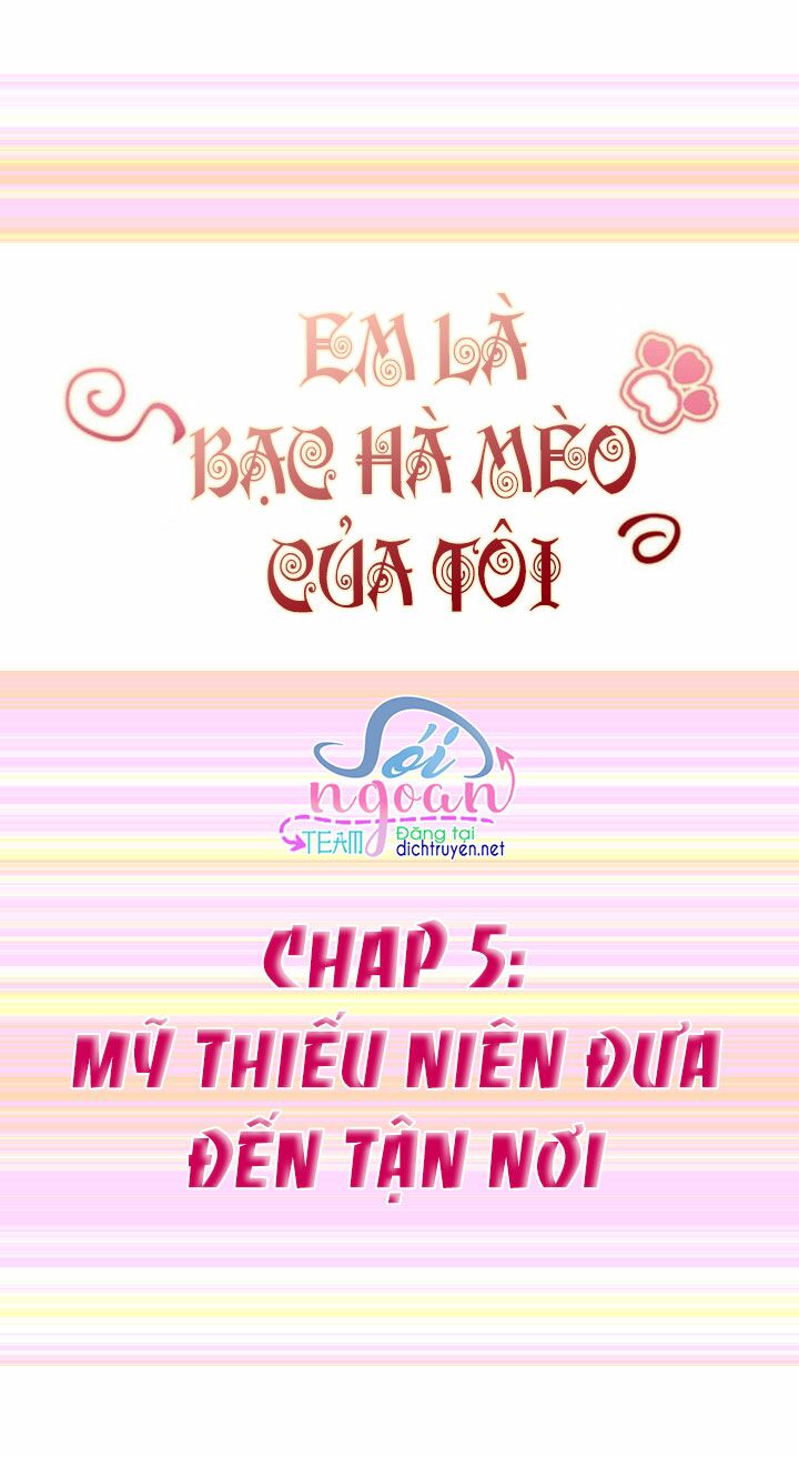 Em là bạc hà mèo của tôi: Chapter 5