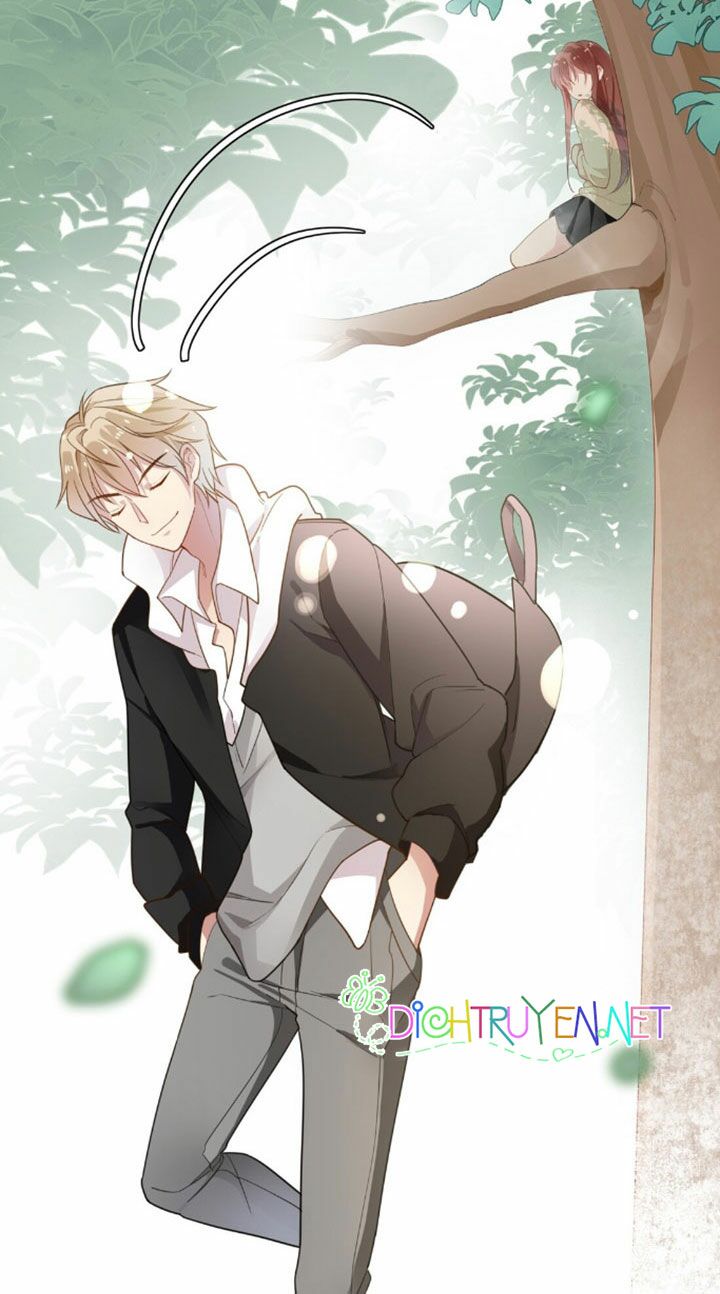 Em là bạc hà mèo của tôi: Chapter 5