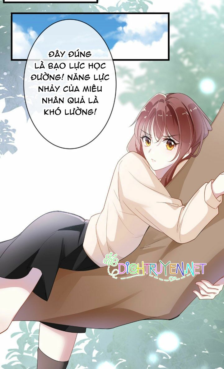 Em là bạc hà mèo của tôi: Chapter 5