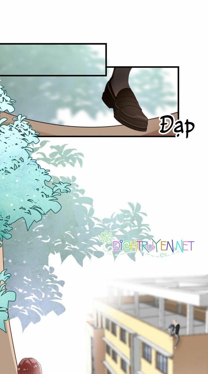 Em là bạc hà mèo của tôi: Chapter 5