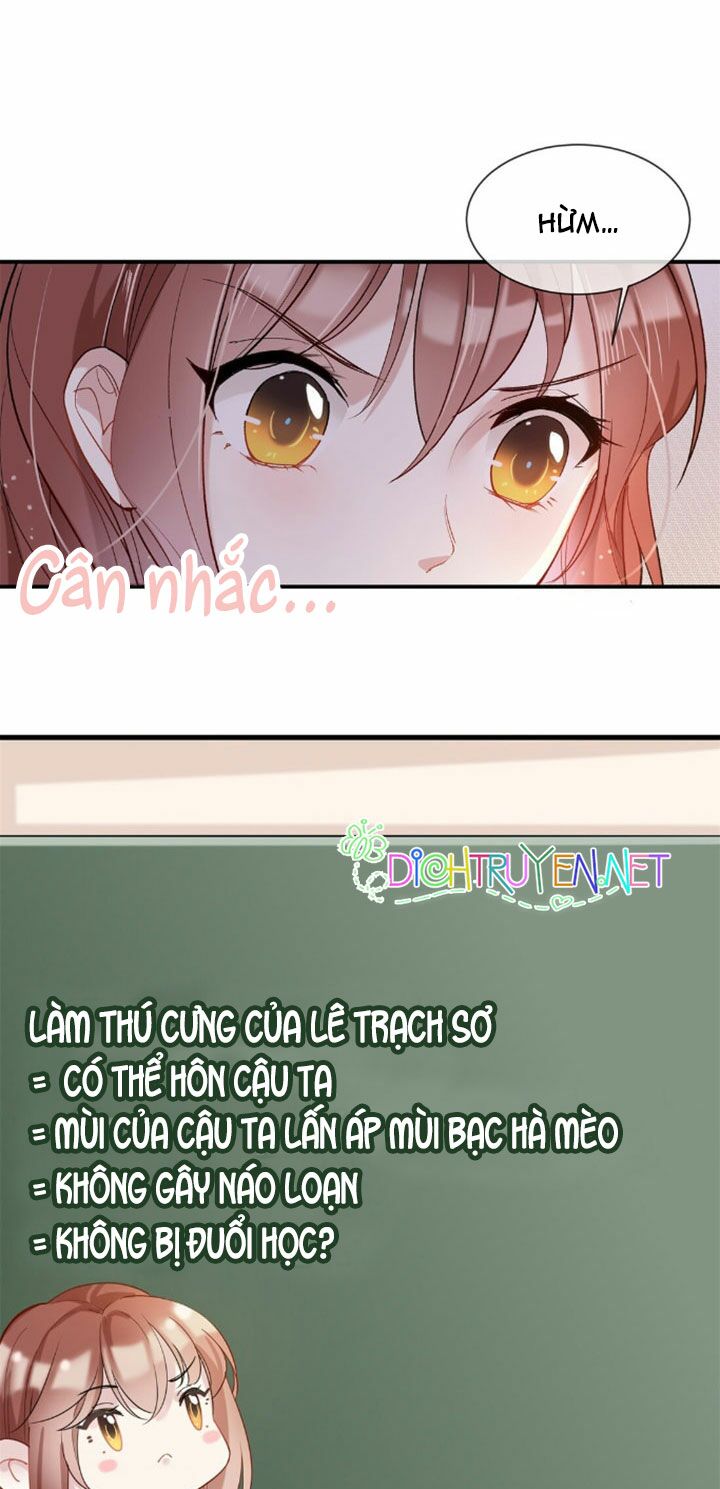 Em là bạc hà mèo của tôi: Chapter 5