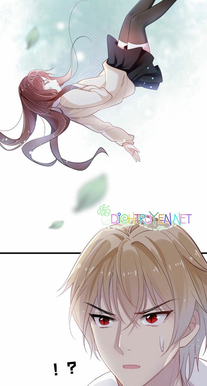Em là bạc hà mèo của tôi: Chapter 5
