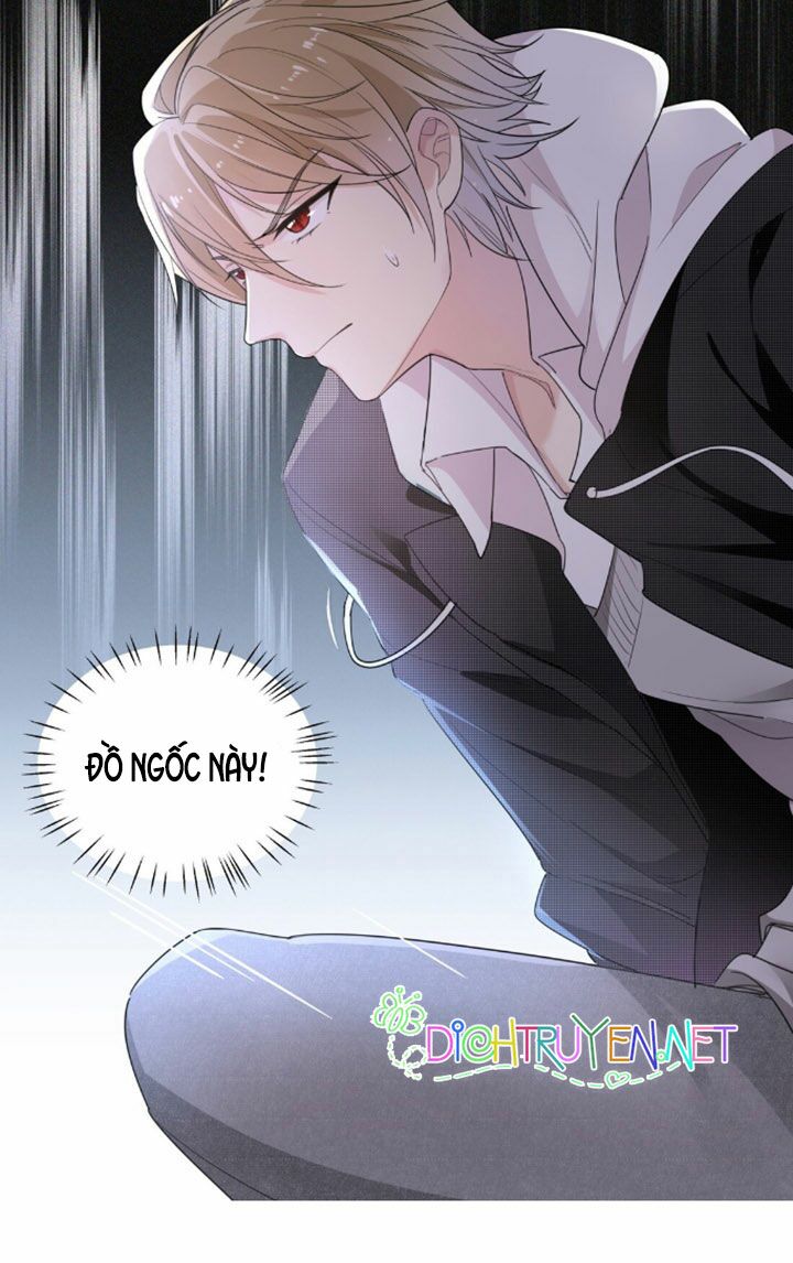 Em là bạc hà mèo của tôi: Chapter 5