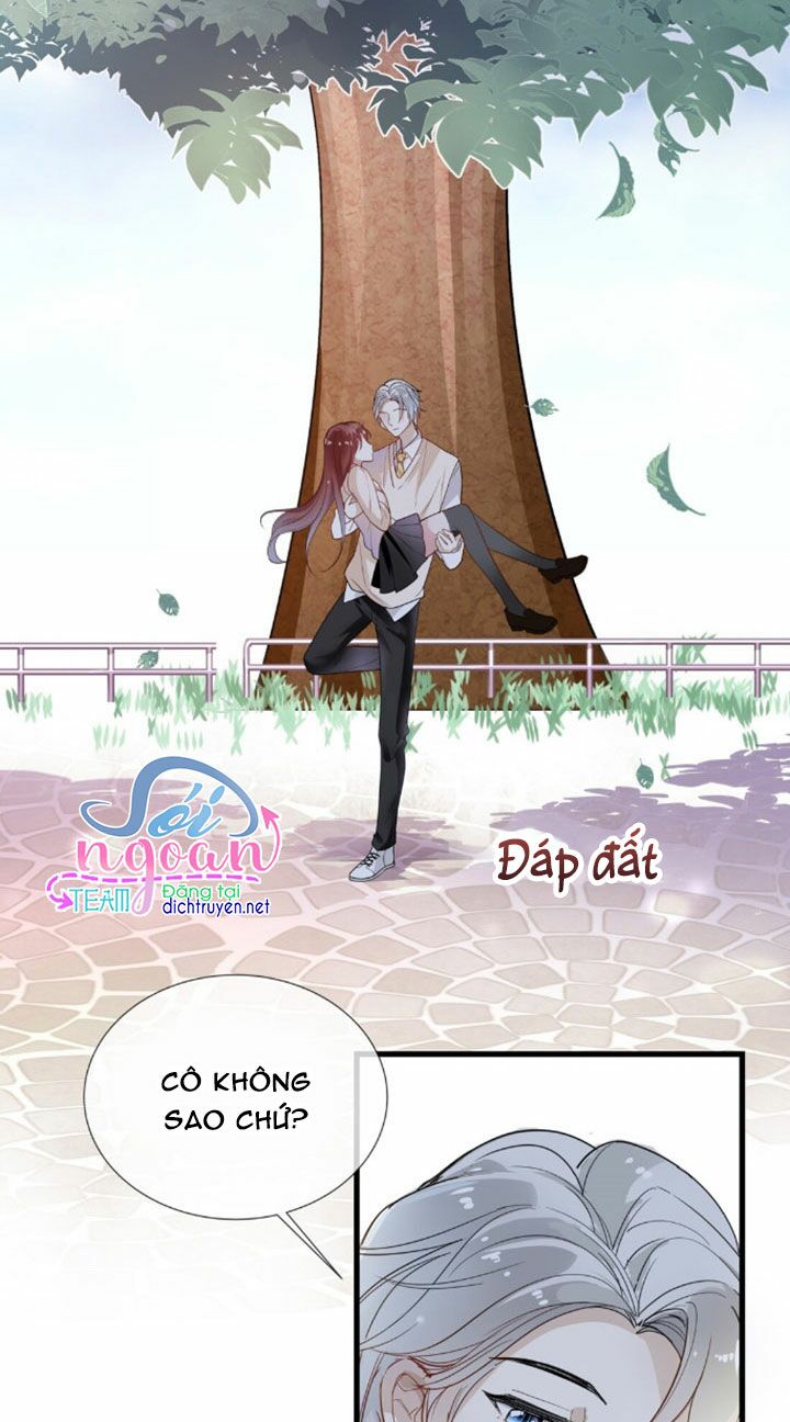 Em là bạc hà mèo của tôi: Chapter 5