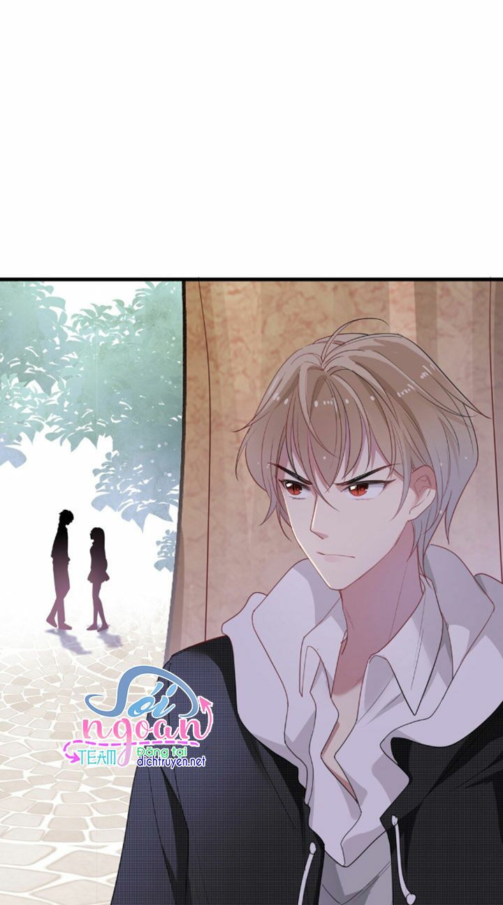 Em là bạc hà mèo của tôi: Chapter 5