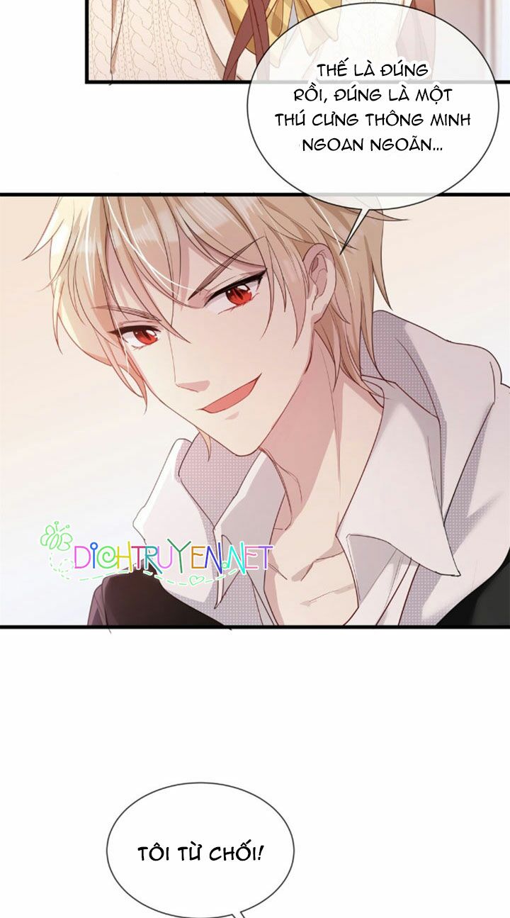 Em là bạc hà mèo của tôi: Chapter 5