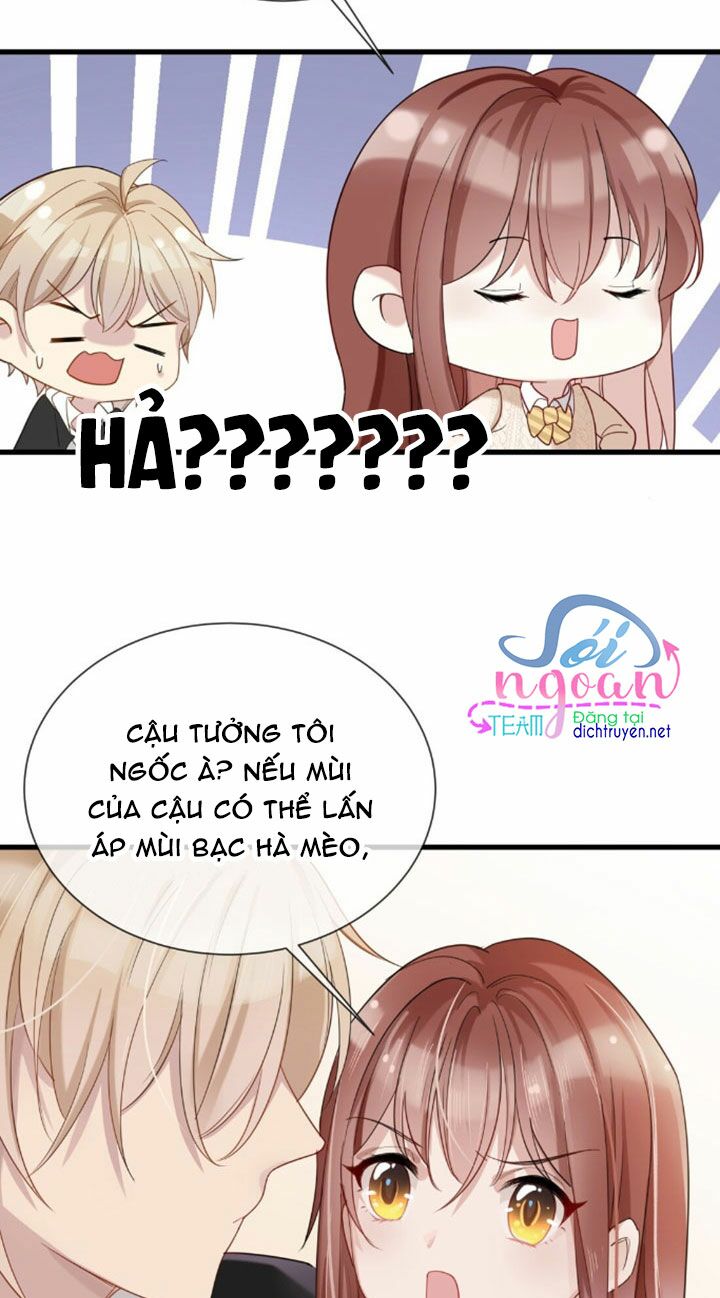 Em là bạc hà mèo của tôi: Chapter 5