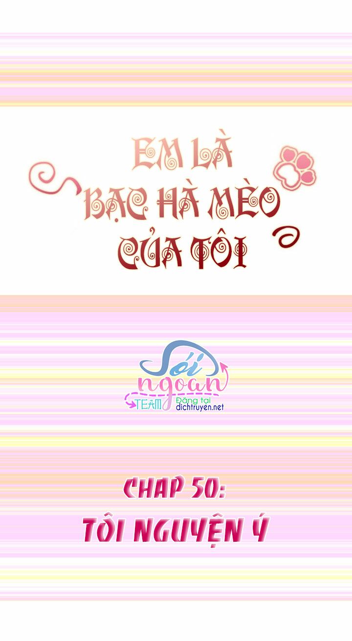 Em là bạc hà mèo của tôi: Chapter 50