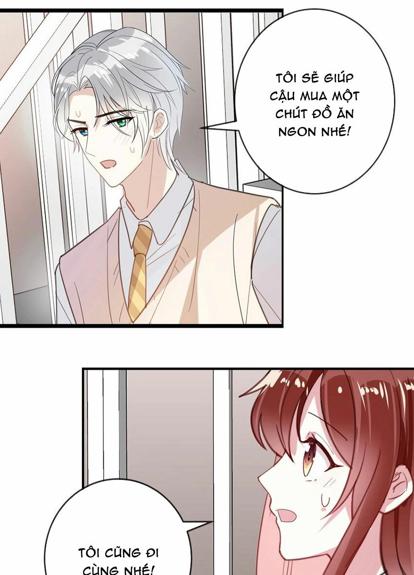 Em là bạc hà mèo của tôi: Chapter 50