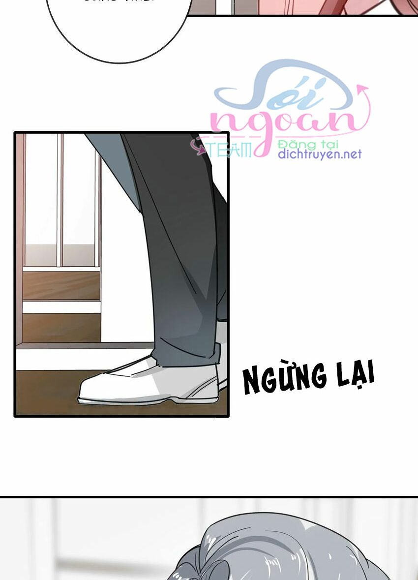Em là bạc hà mèo của tôi: Chapter 50