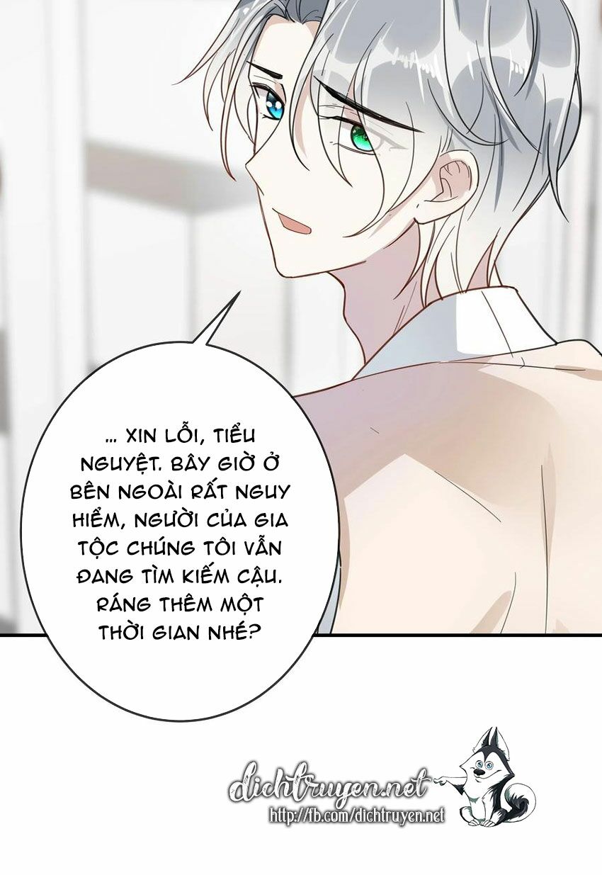 Em là bạc hà mèo của tôi: Chapter 50