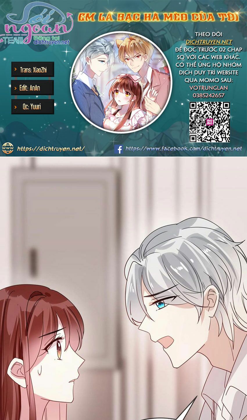 Em là bạc hà mèo của tôi: Chapter 50