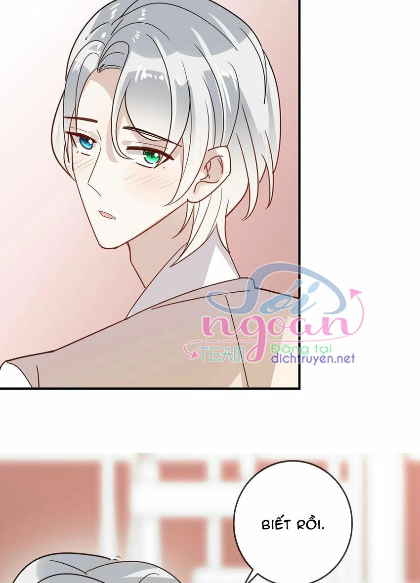Em là bạc hà mèo của tôi: Chapter 50