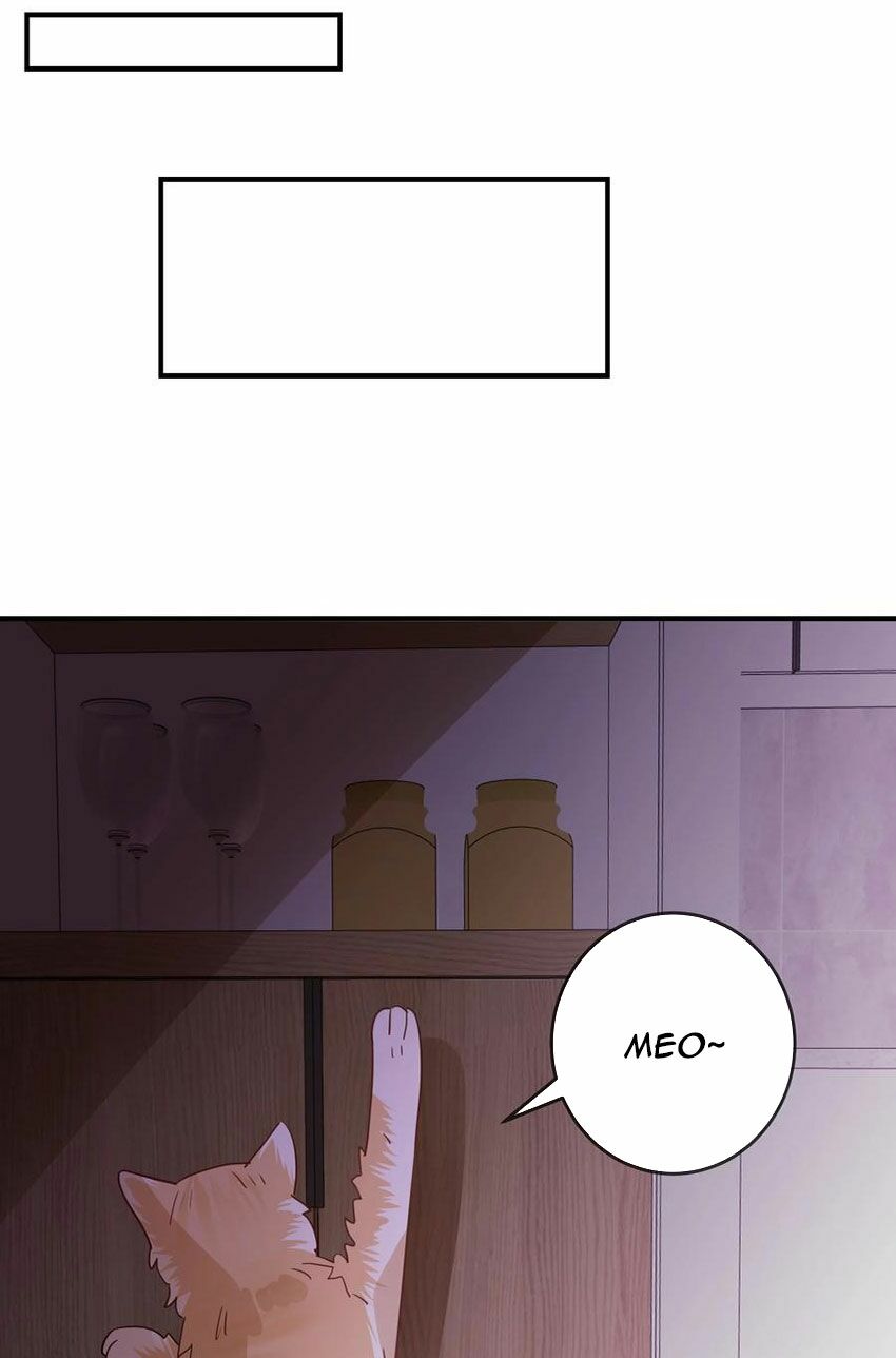 Em là bạc hà mèo của tôi: Chapter 50