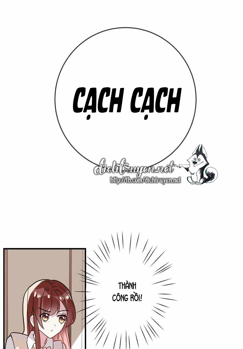 Em là bạc hà mèo của tôi: Chapter 50