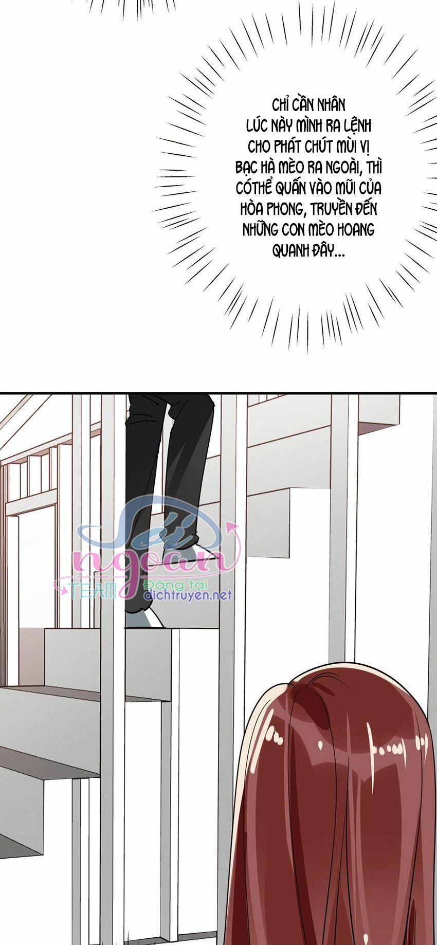 Em là bạc hà mèo của tôi: Chapter 50