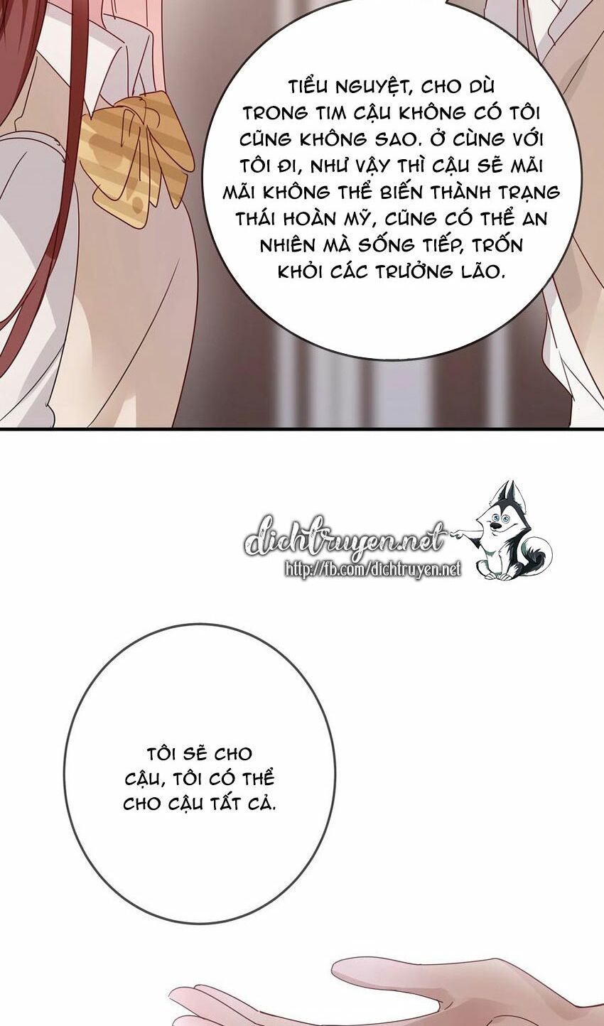 Em là bạc hà mèo của tôi: Chapter 50