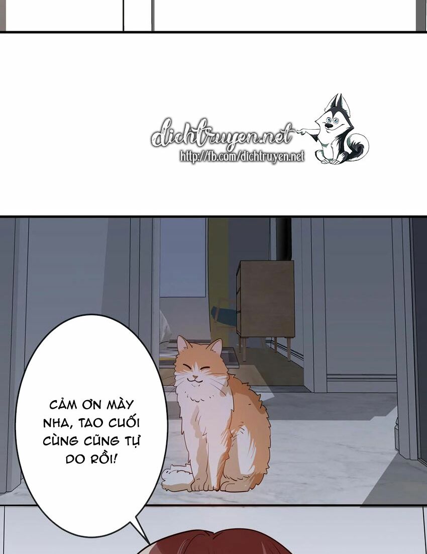 Em là bạc hà mèo của tôi: Chapter 50