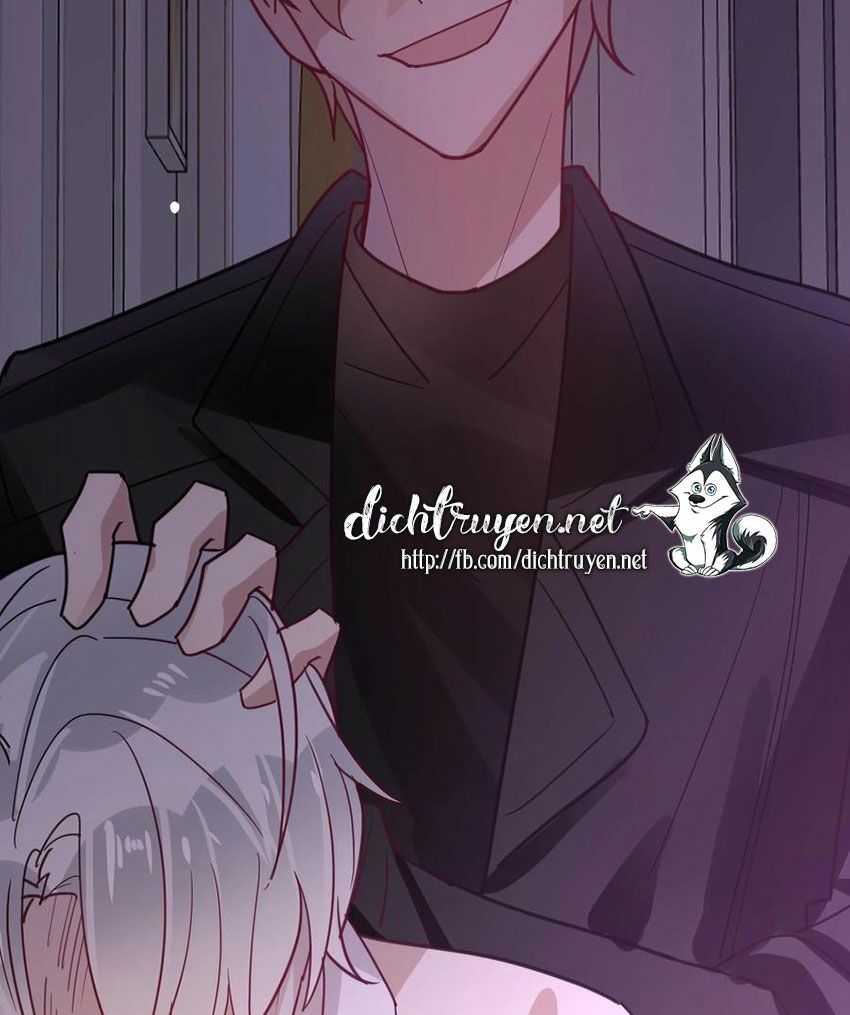 Em là bạc hà mèo của tôi: Chapter 50