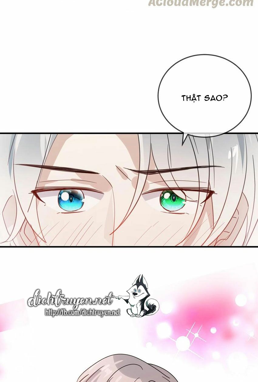 Em là bạc hà mèo của tôi: Chapter 50