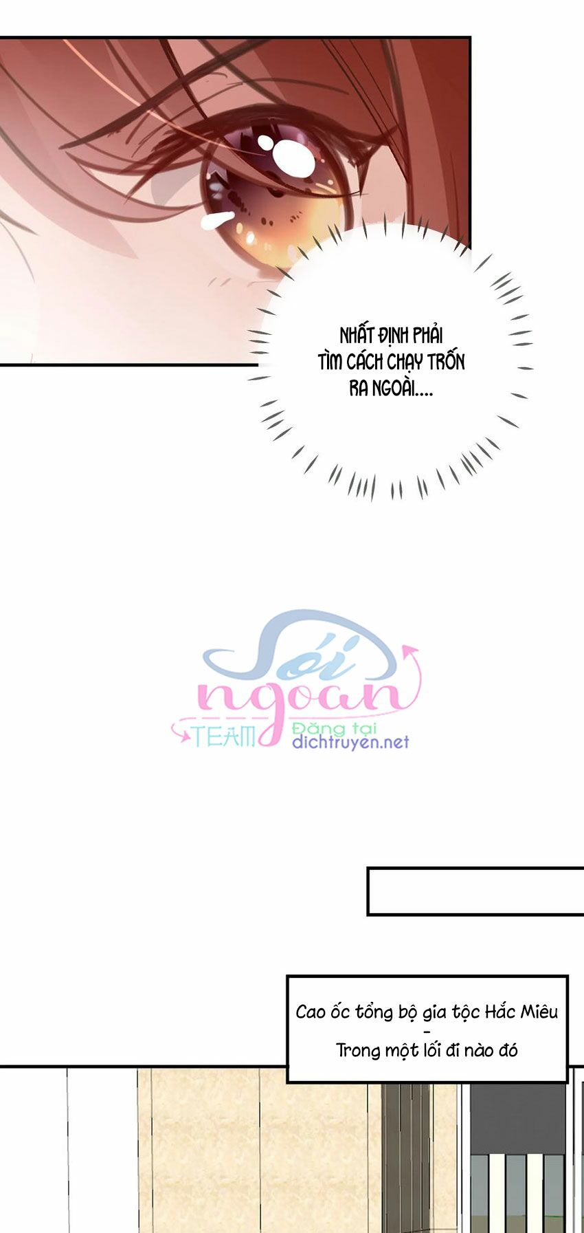 Em là bạc hà mèo của tôi: Chapter 51
