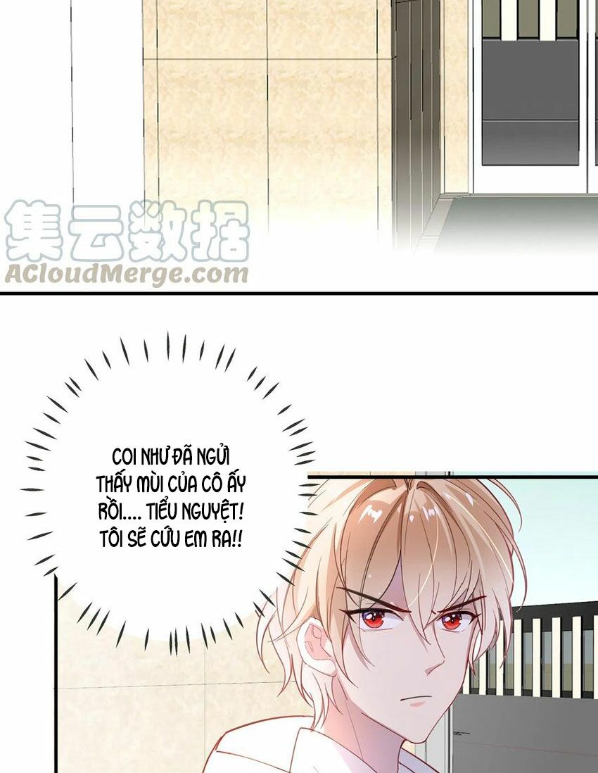 Em là bạc hà mèo của tôi: Chapter 51