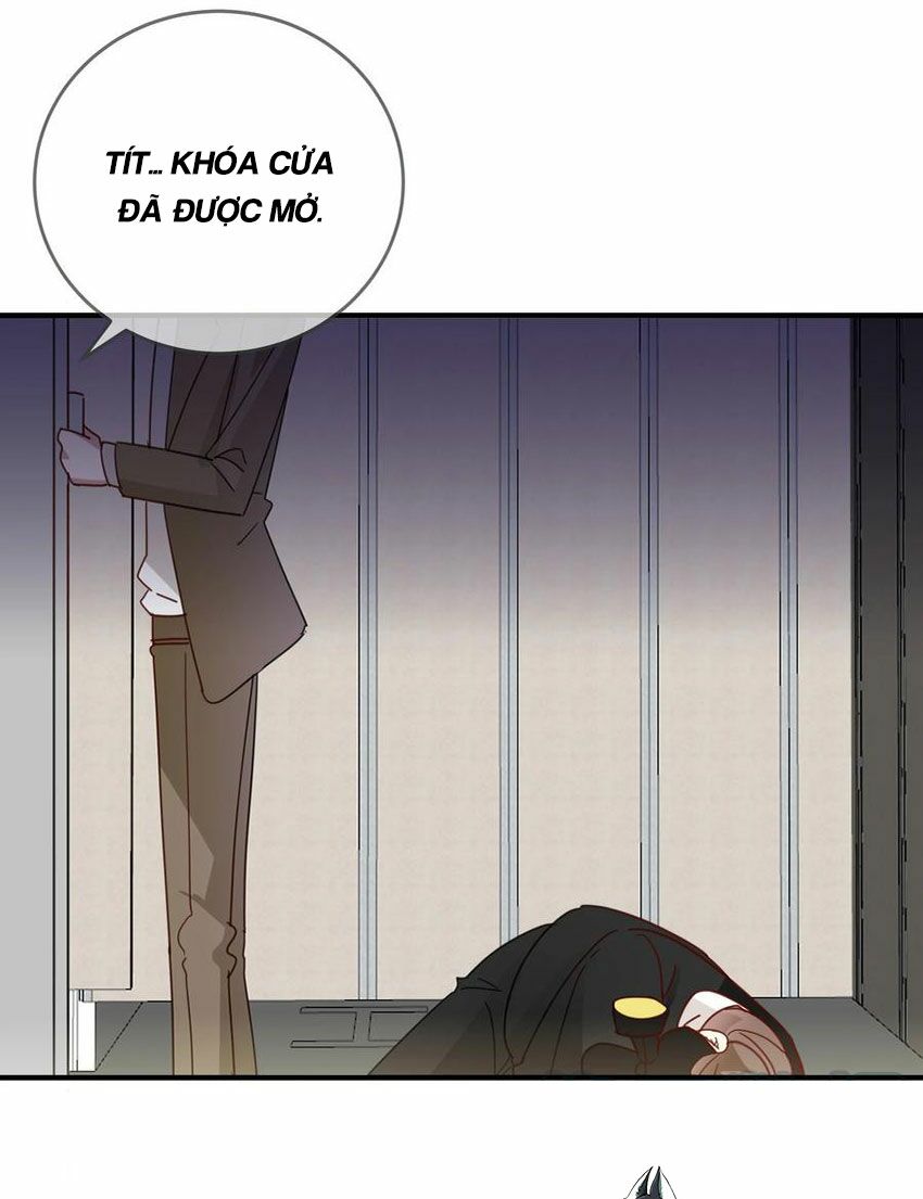 Em là bạc hà mèo của tôi: Chapter 51