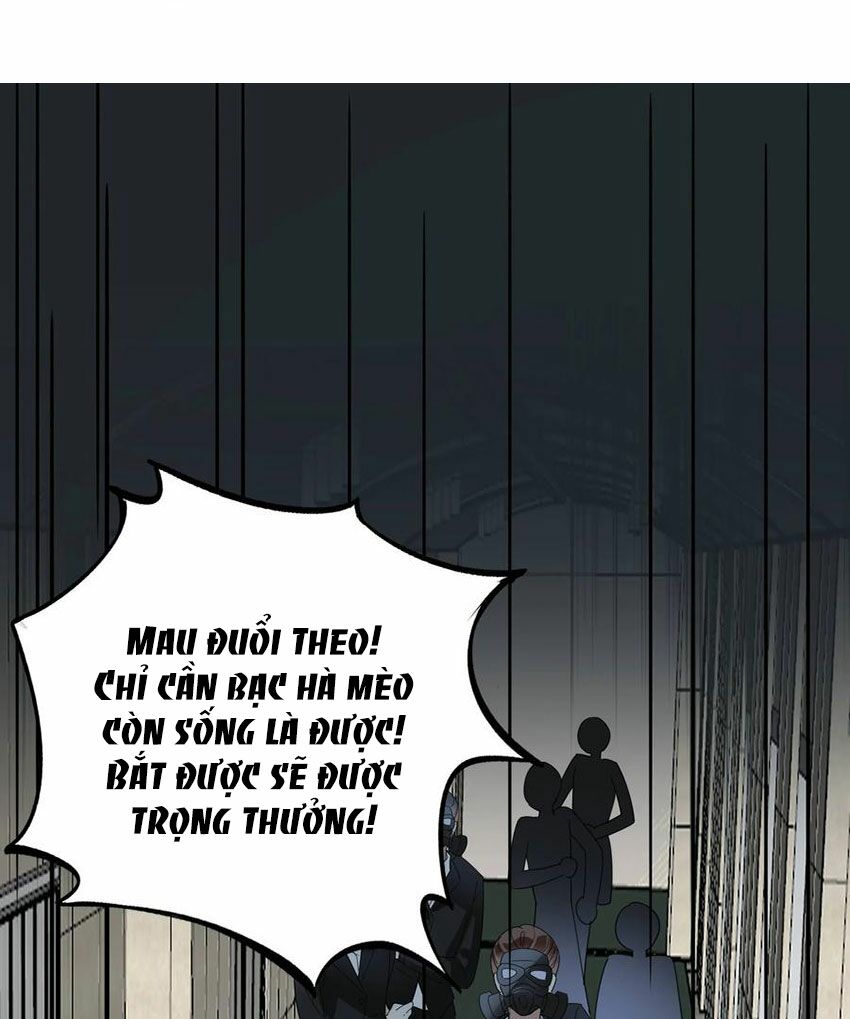 Em là bạc hà mèo của tôi: Chapter 51
