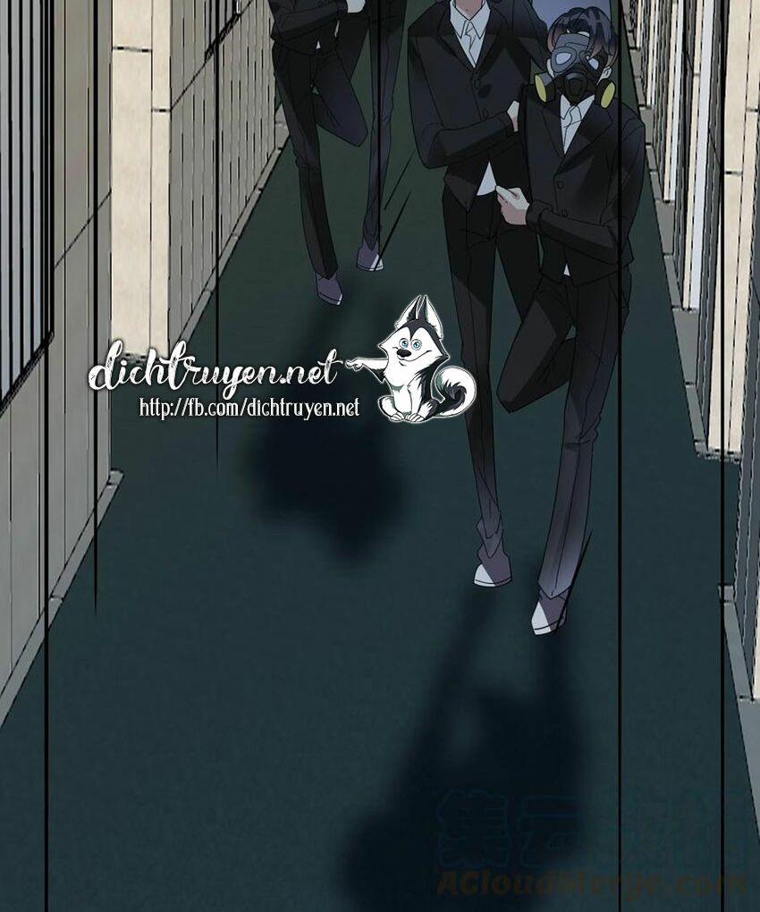 Em là bạc hà mèo của tôi: Chapter 51