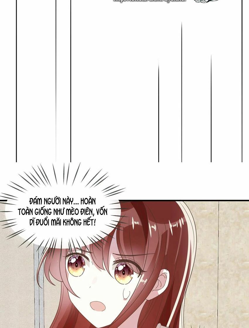 Em là bạc hà mèo của tôi: Chapter 51