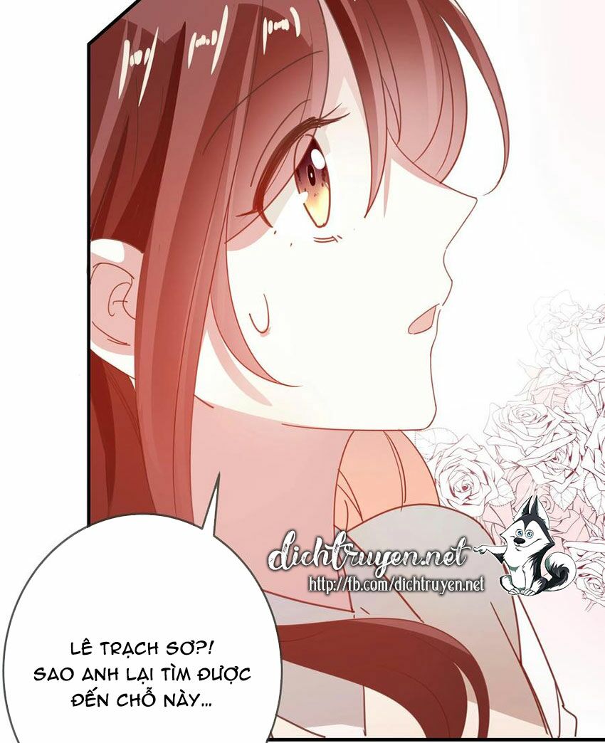 Em là bạc hà mèo của tôi: Chapter 51