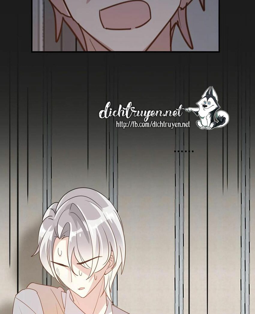 Em là bạc hà mèo của tôi: Chapter 51