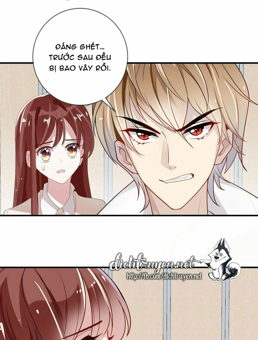 Em là bạc hà mèo của tôi: Chapter 51