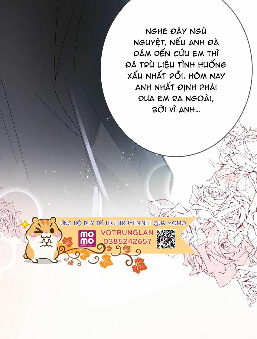 Em là bạc hà mèo của tôi: Chapter 51