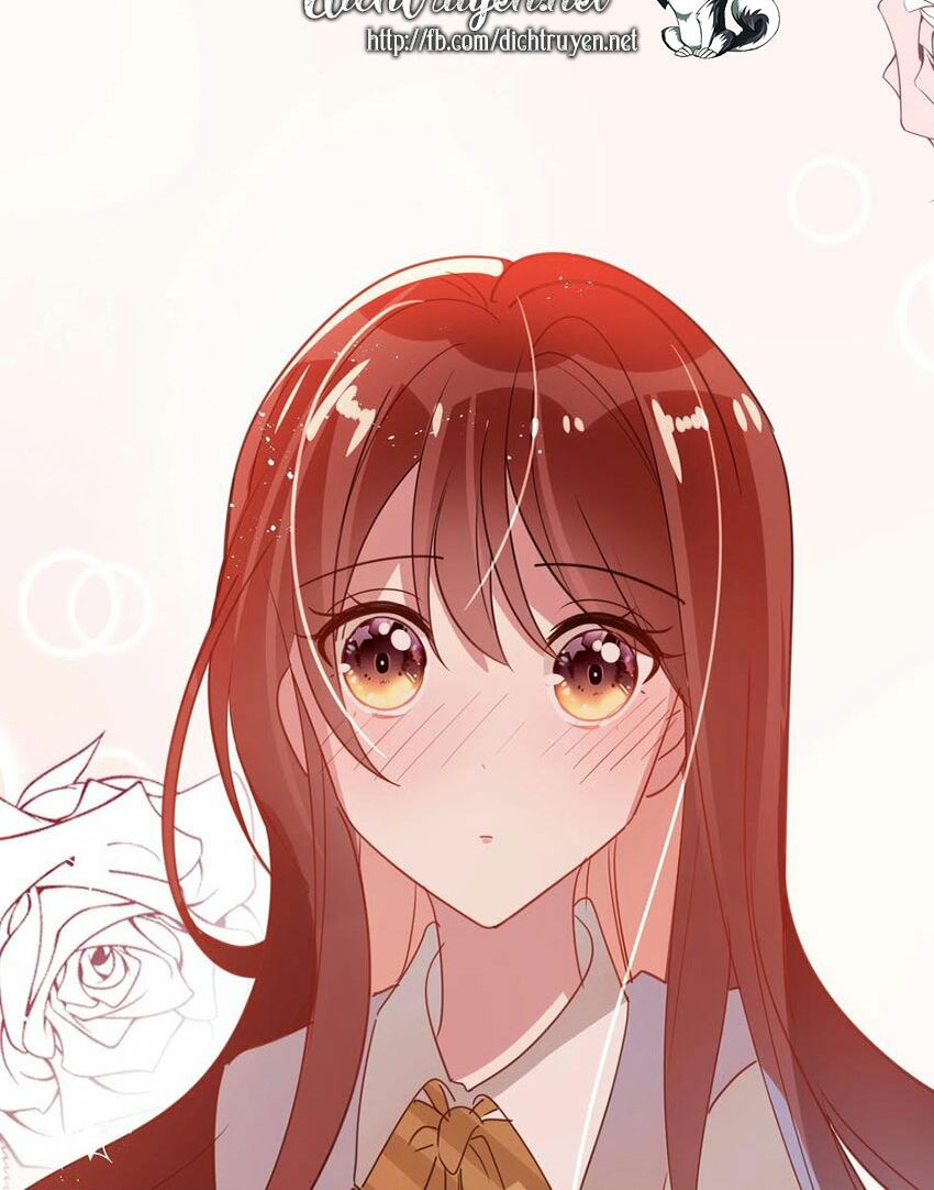Em là bạc hà mèo của tôi: Chapter 51