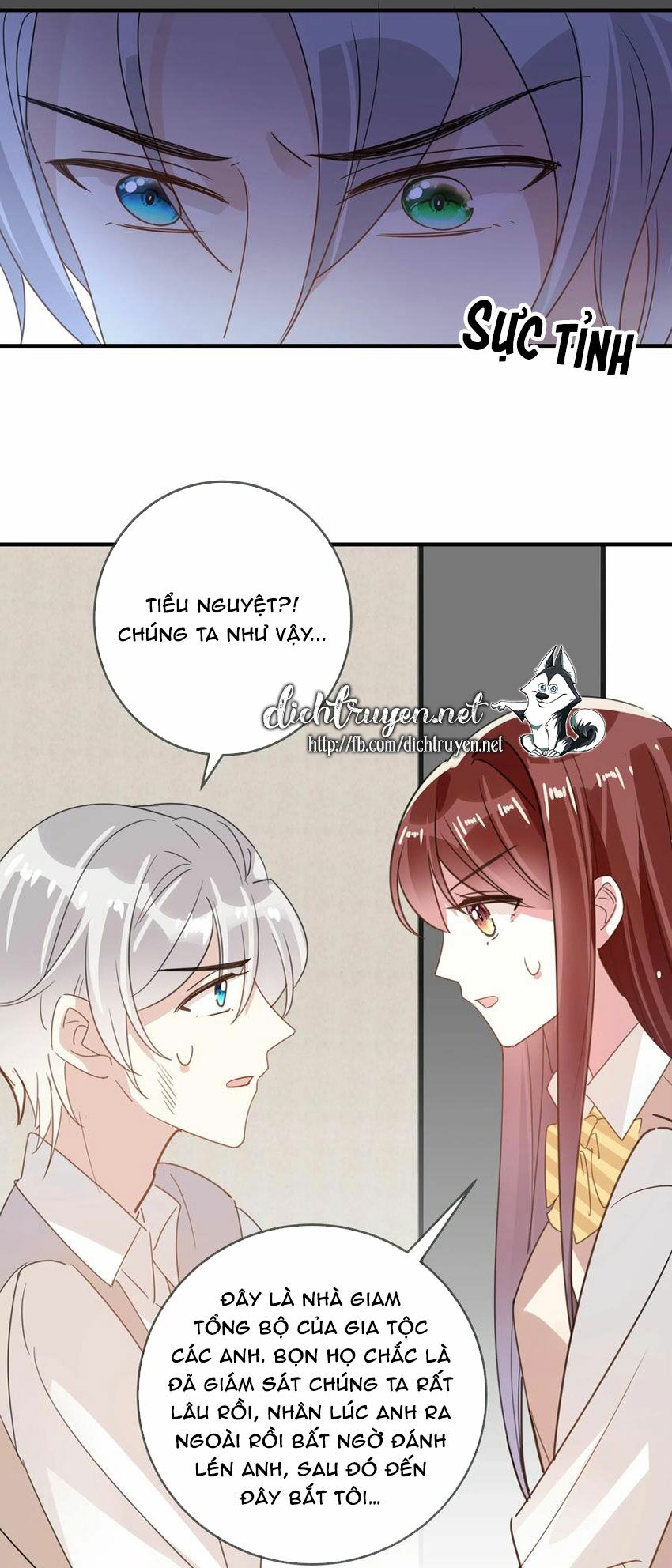 Em là bạc hà mèo của tôi: Chapter 51
