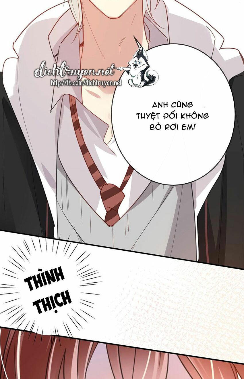 Em là bạc hà mèo của tôi: Chapter 52