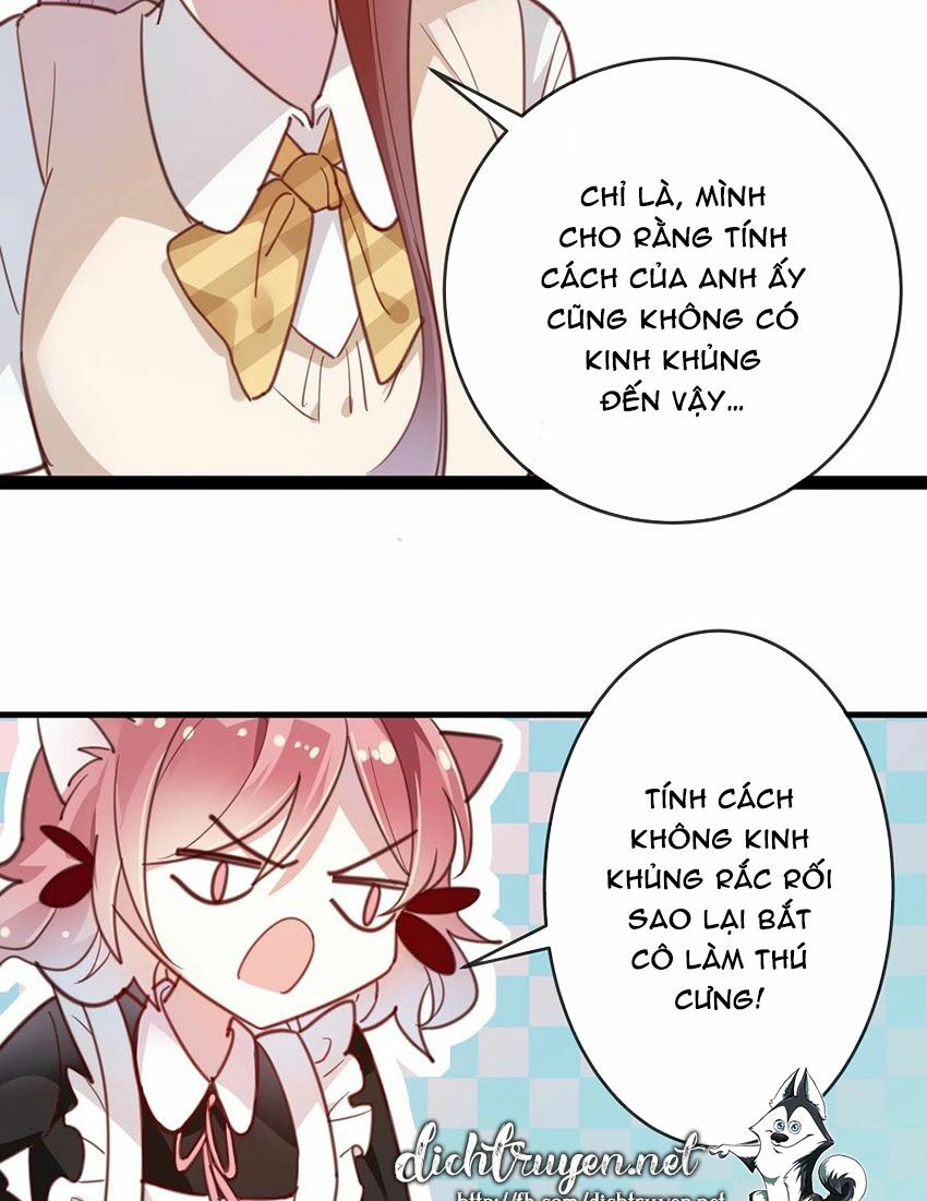 Em là bạc hà mèo của tôi: Chapter 52