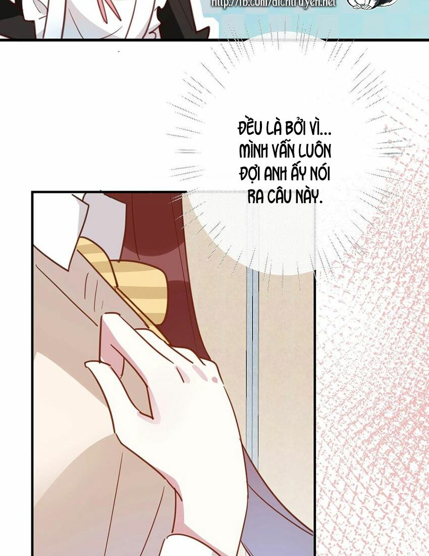 Em là bạc hà mèo của tôi: Chapter 52