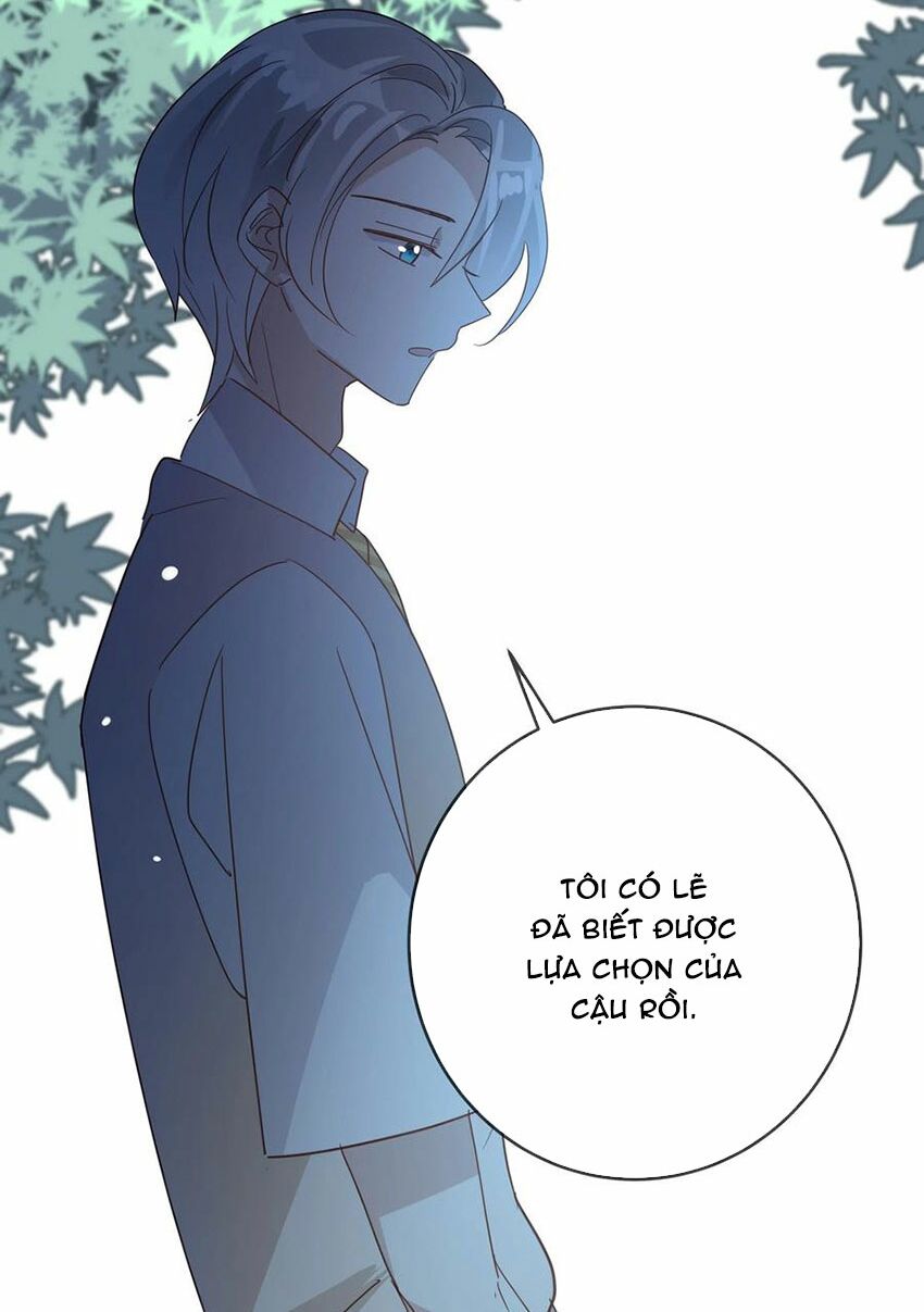 Em là bạc hà mèo của tôi: Chapter 52