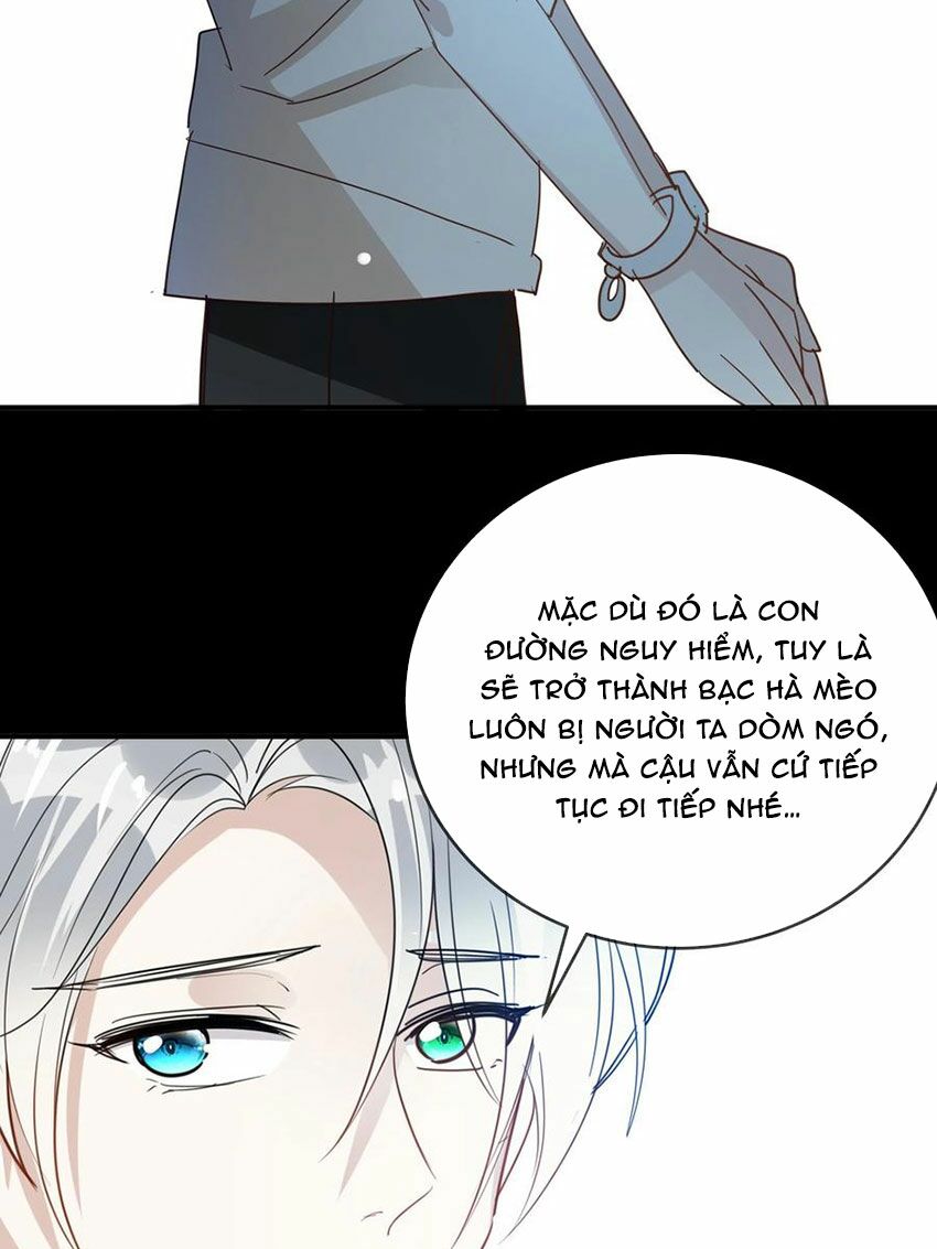 Em là bạc hà mèo của tôi: Chapter 52